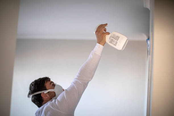Best Commercial Mold Removal  in Live Oak, CA