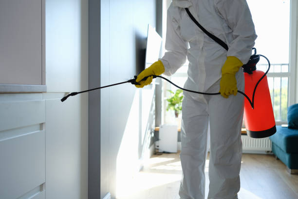 Crawl Space Mold Removal in Live Oak, CA