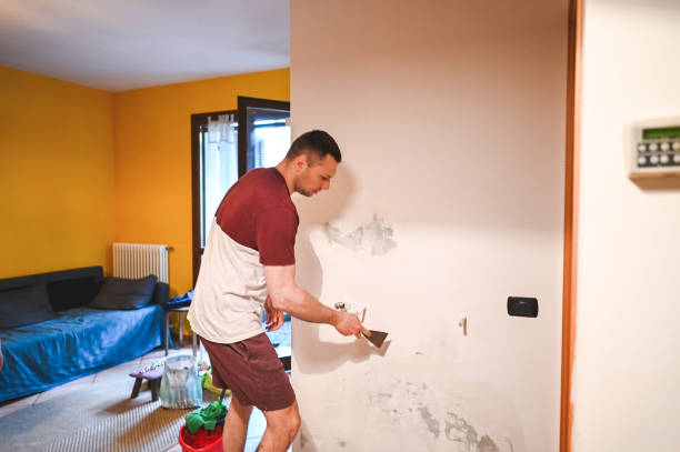Best Local Mold Removal Service  in Live Oak, CA